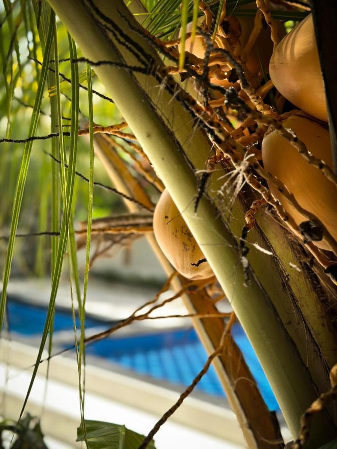 Hakuna Matata Resort غيلي آير المظهر الخارجي الصورة